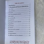 La description d’Allah chez les traditionalistes musulmans – Image 2