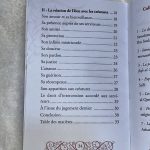 La description d’Allah chez les traditionalistes musulmans